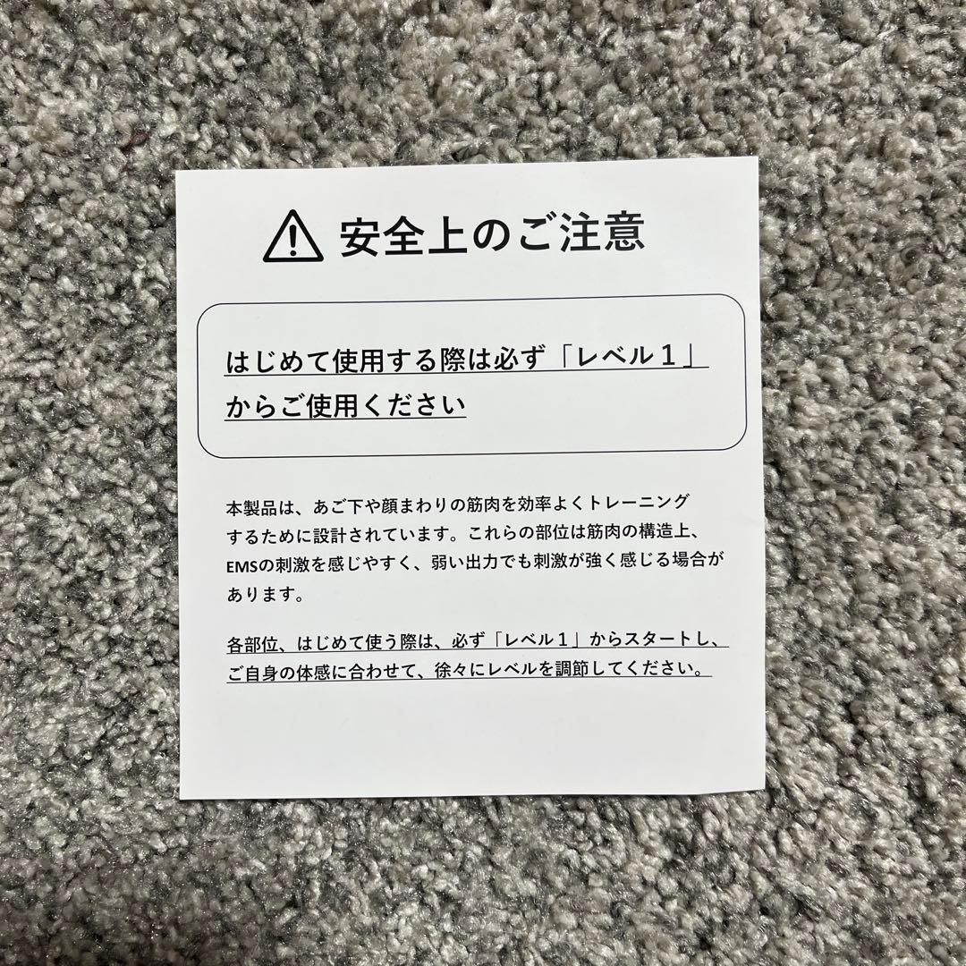 【美品】Renaissance StyllyFace SLF-100 美顔器