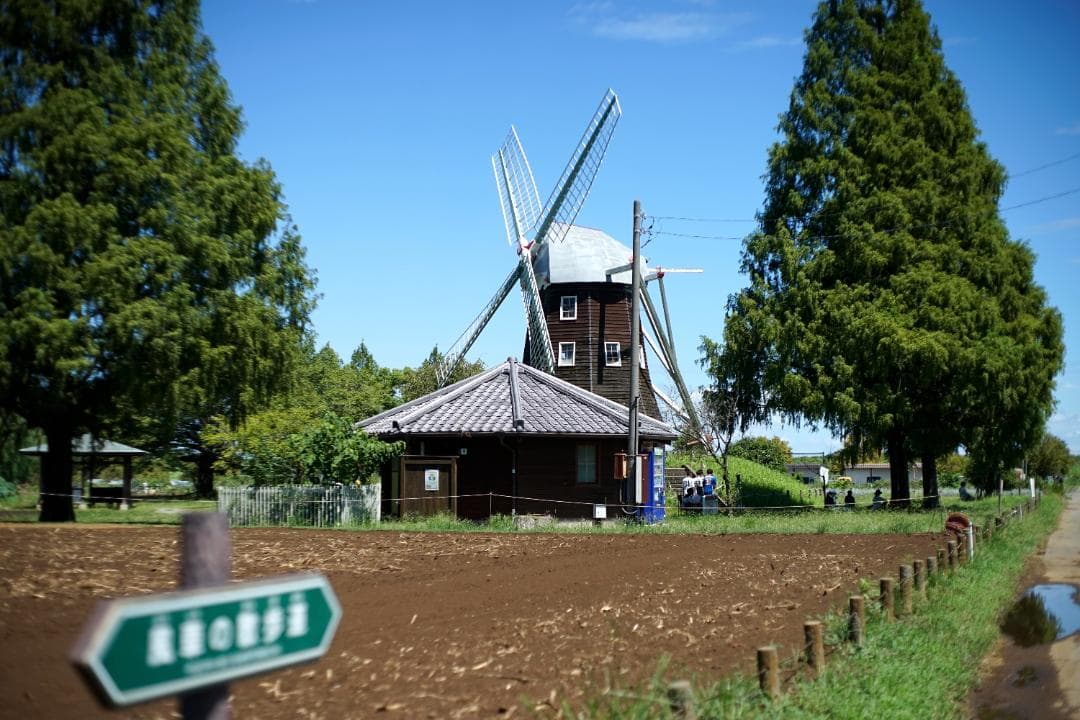 XR RIKENON L 50mm f/2 きれい 分解整備済 保証付 652