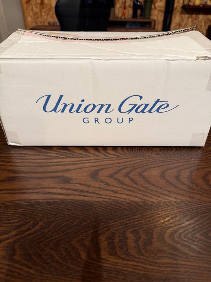 BRIEFING WIND AND SEA コラボ　カートバック　新品未使用