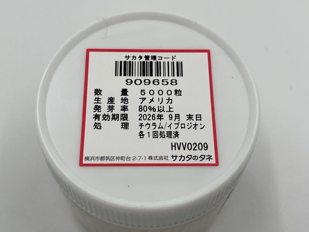 【クニクニ】大人気！ブロッコリー種子 （SK9-099 )2個