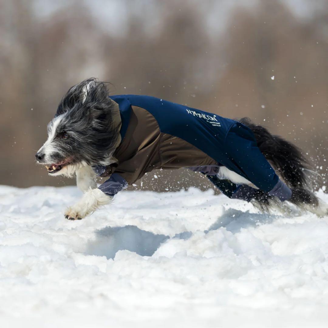  DOG GUARD® 4L ALPHAICON