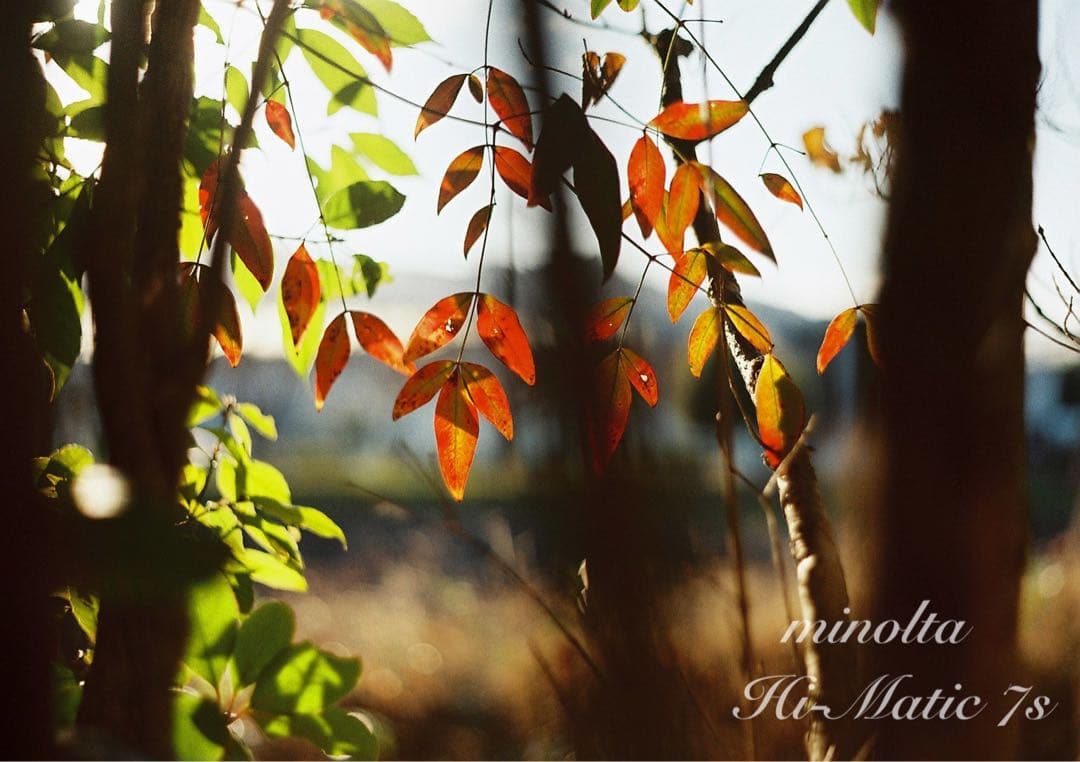 ★超美品＊完動品＊初期保証★minolta himatic 7s