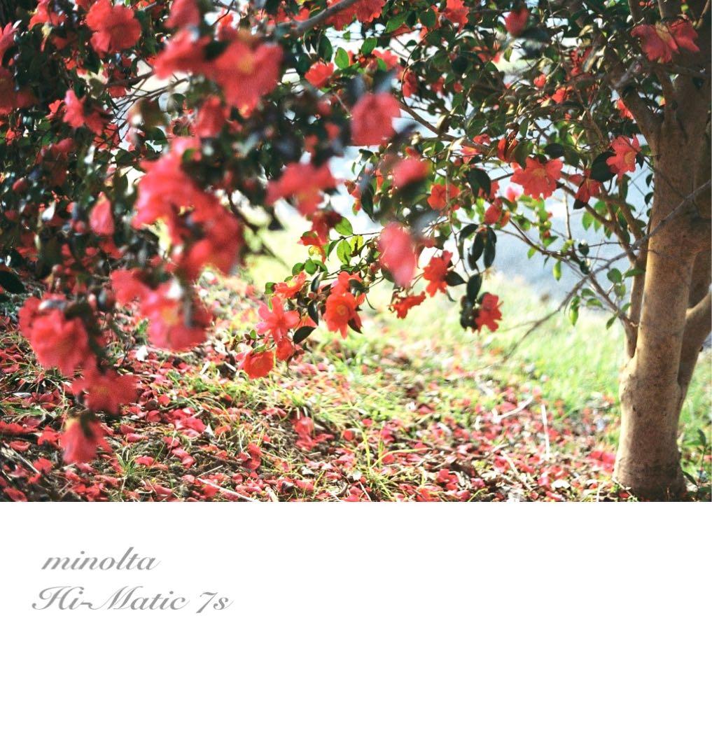 ★超美品＊完動品＊初期保証★minolta himatic 7s