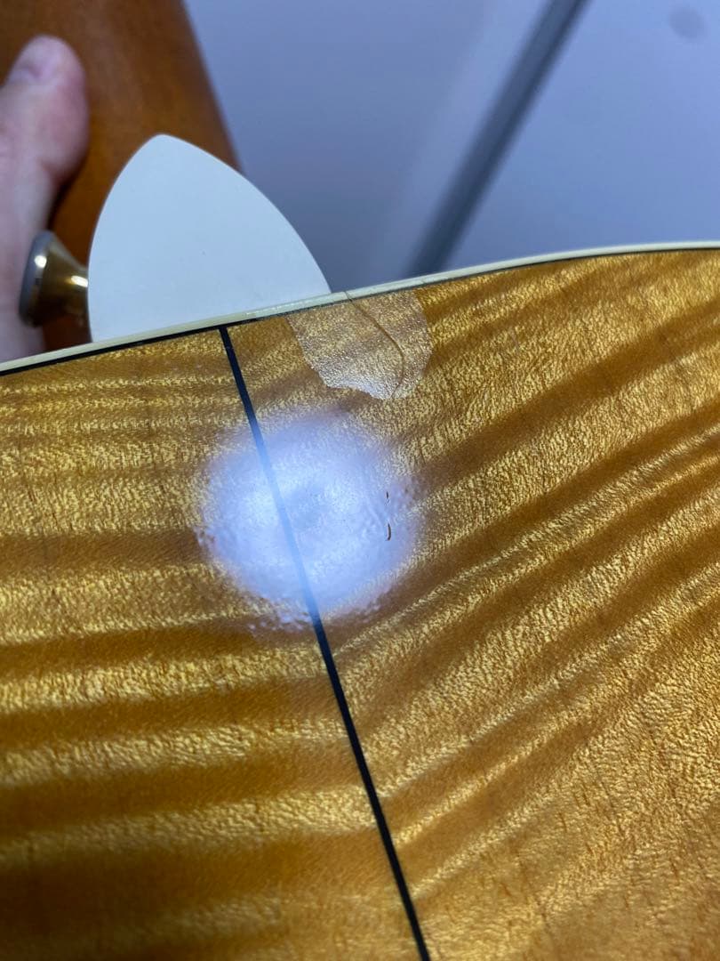 最終価格出品 Taylor 612c L.R.Baggs Anthem付