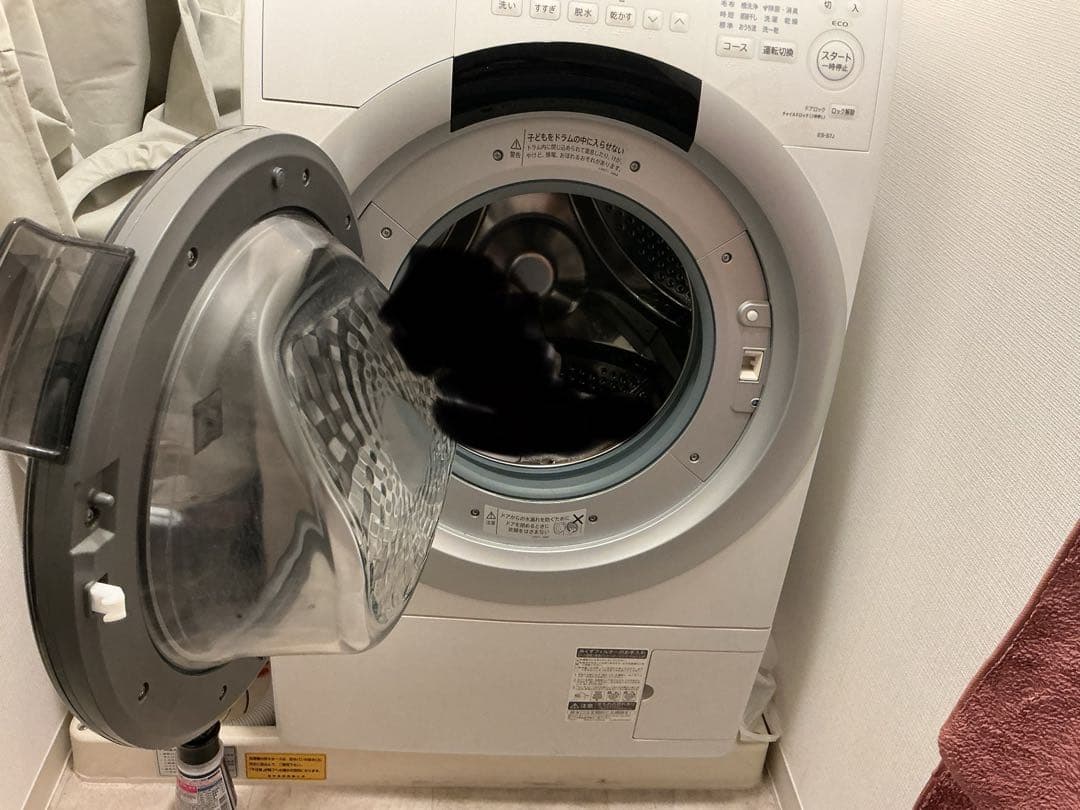 SHARP ドラム式洗濯機 本体 ホワイトES-S7J-WL