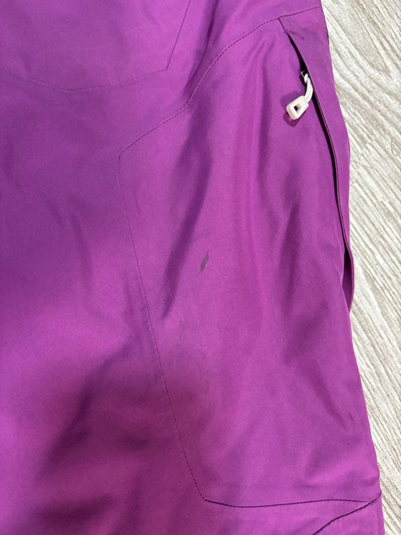 patagonia インサレーテッド　パウダーボールパンツ ウィメンズ