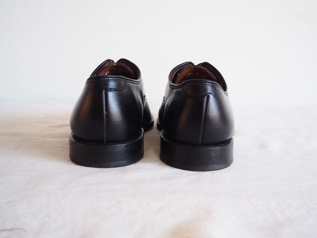 靴 Allen Edmonds 5615 Park Avenue