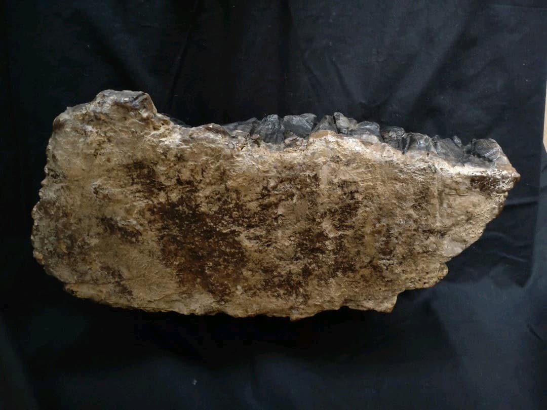 静岳石(特大)　鑑賞石　置物　NO.1150