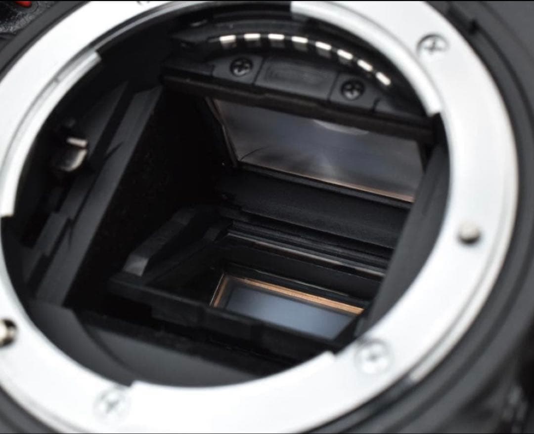 Nikon ニコン D7000 ボディ 美品 ケース付 ストラップ付 純正