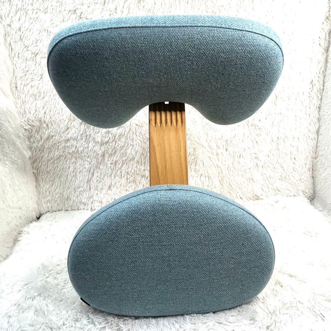 Rybo (サカモトハウス) リボ社 バランスイージー 姿勢矯正チェア