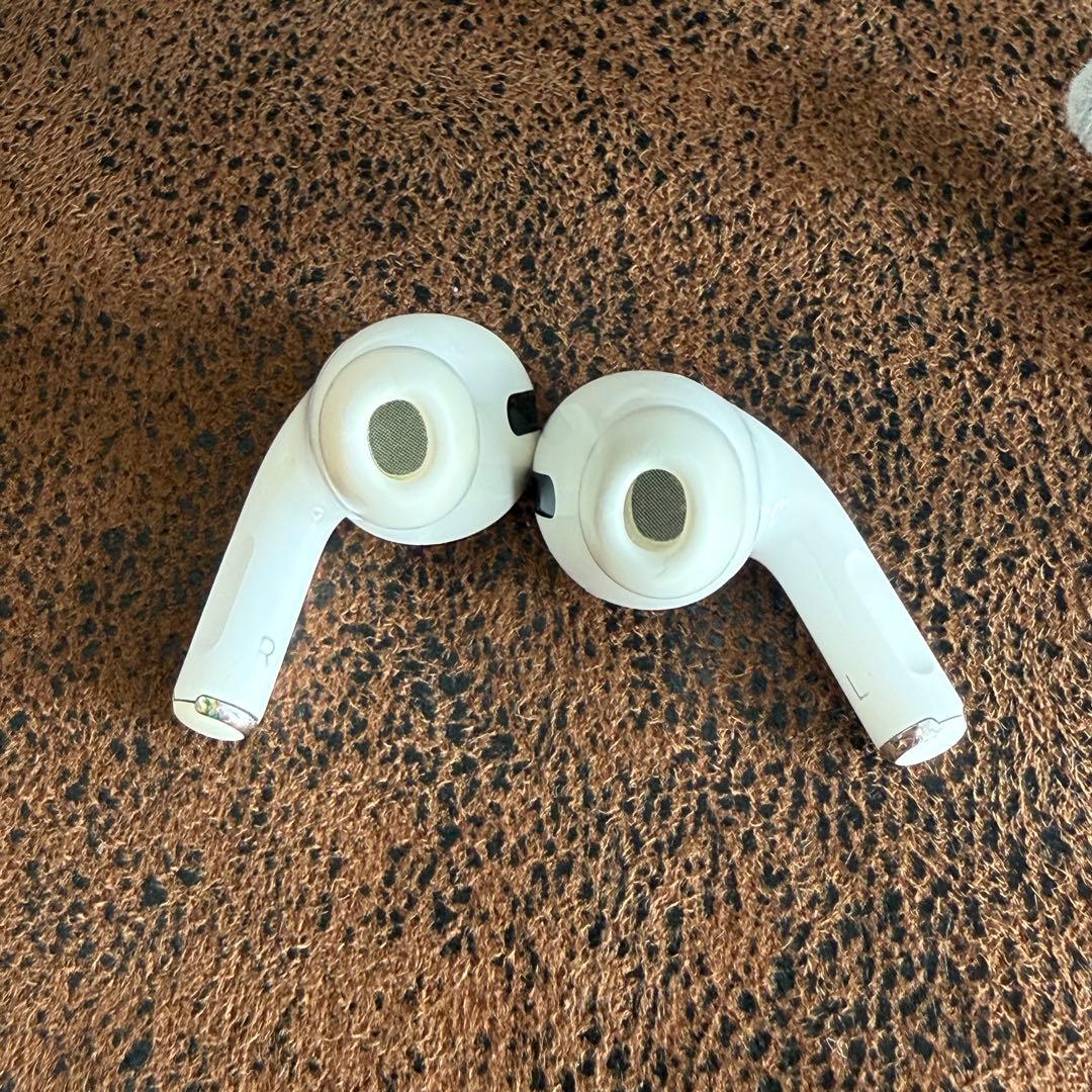 【24h以内発送】AirPods Pro 第1世代 Lightningケース