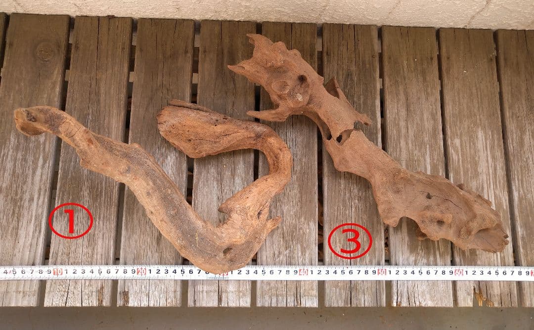 アクアリウム用品　レイアウト 良型 流木 Ｌサイズ　７本セット