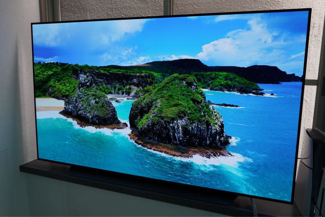 LG OLED65CXPJA 65インチ 有機ELテレビ