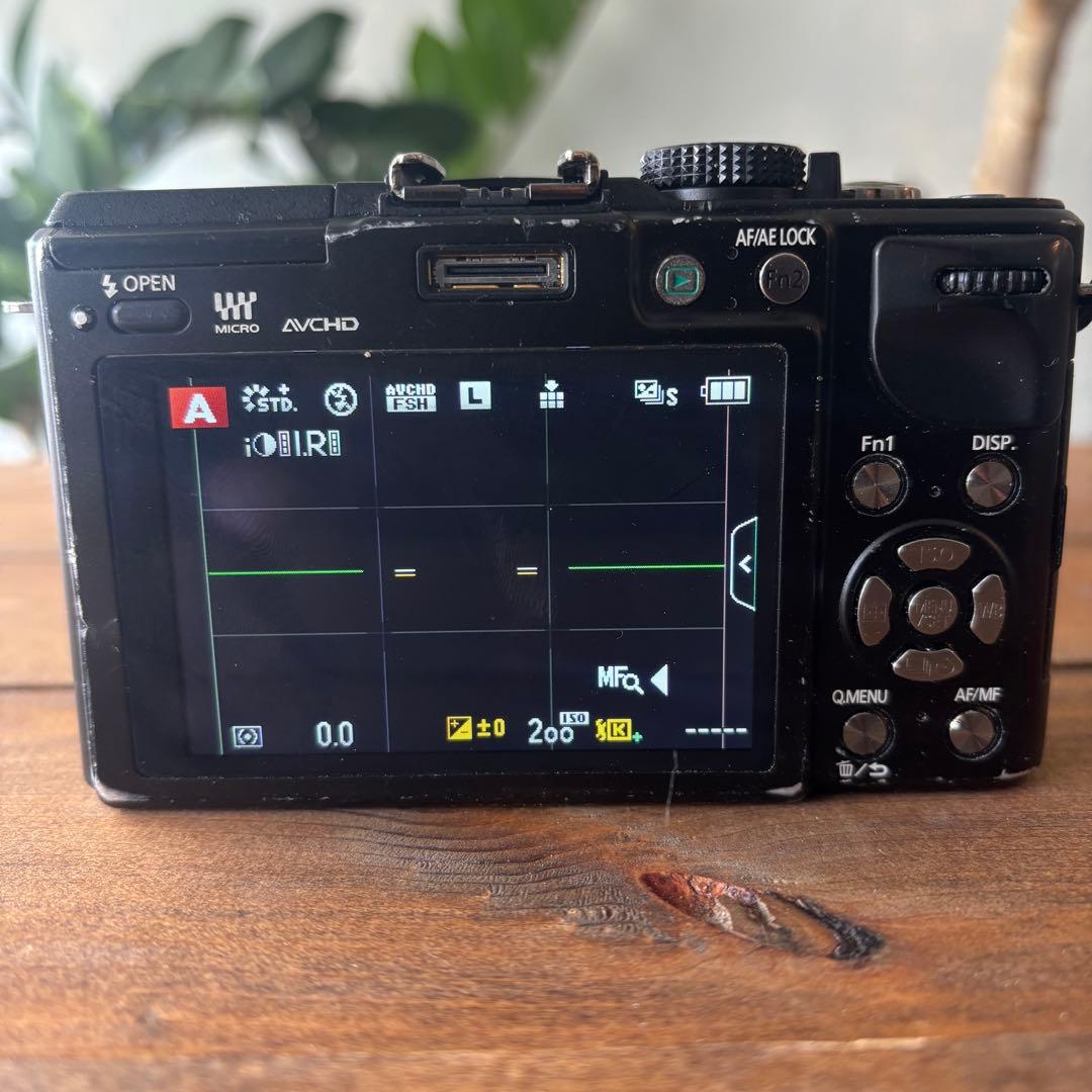 LUMIX GX1 ミラーレスカメラ 本体と充電器