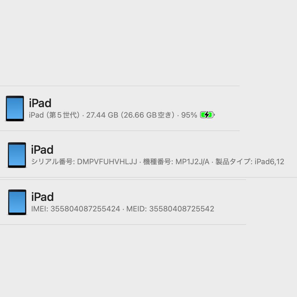 iPad (第5世代) 32GB Wi-Fi+Cellular シルバー 美品
