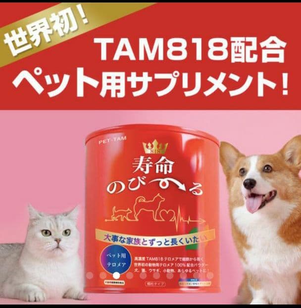 世界初！日本先行販売　ペット用テロメアのサプリ　普段のご飯に混ぜるだけ　3缶