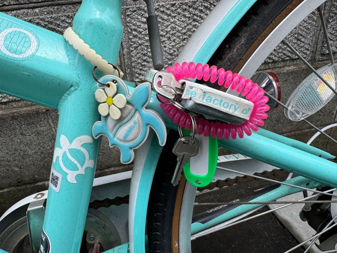 イオンバイク マハロジュニア 6段 24型 子供用自転車 グリーン 手渡しのみ