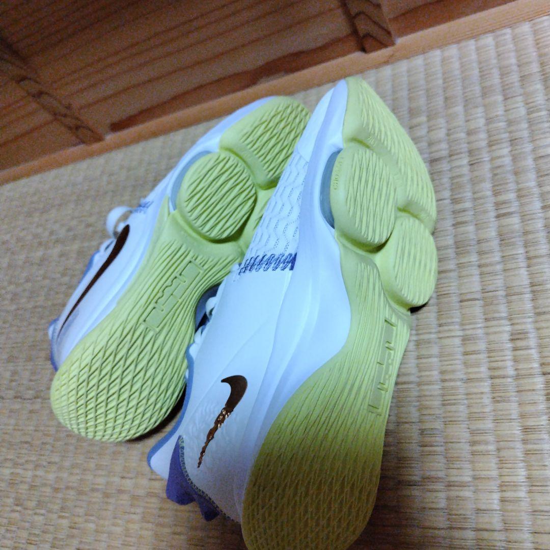 富樫勇樹選手サイン入りバスケットシューズ