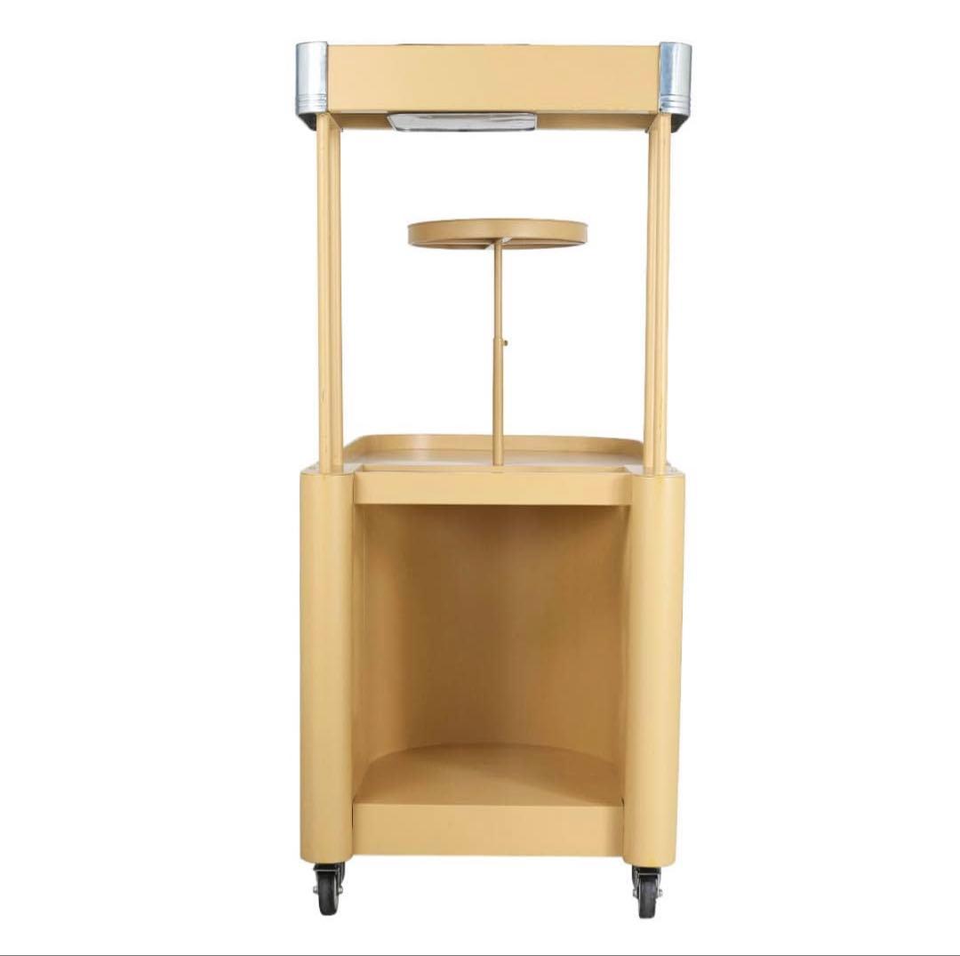 DULTON ストアワゴン ダルトン