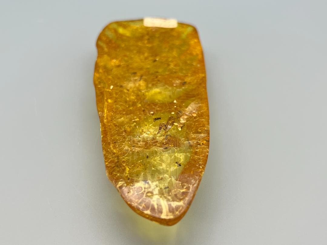 虫入り琥珀　多種多様な虫を内包した　バルティック　アンバー　バルト海沿岸地域産