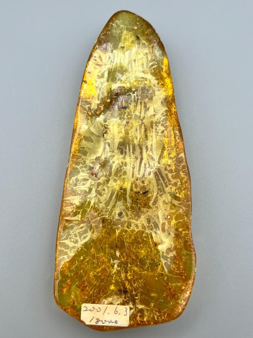 虫入り琥珀　多種多様な虫を内包した　バルティック　アンバー　バルト海沿岸地域産