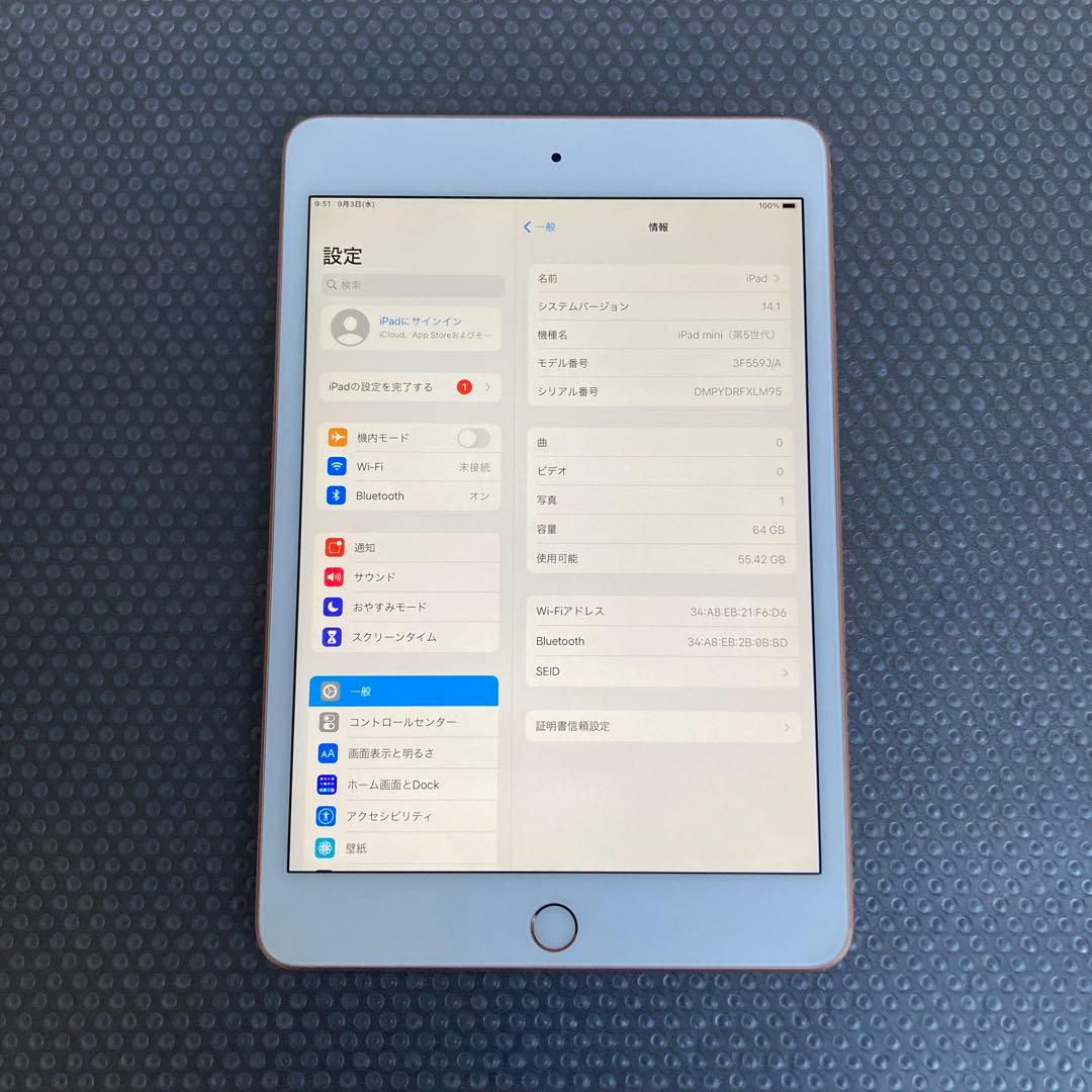 2581 電池最良好☆iPad mini5 第5世代 64GB WIFIモデル☆