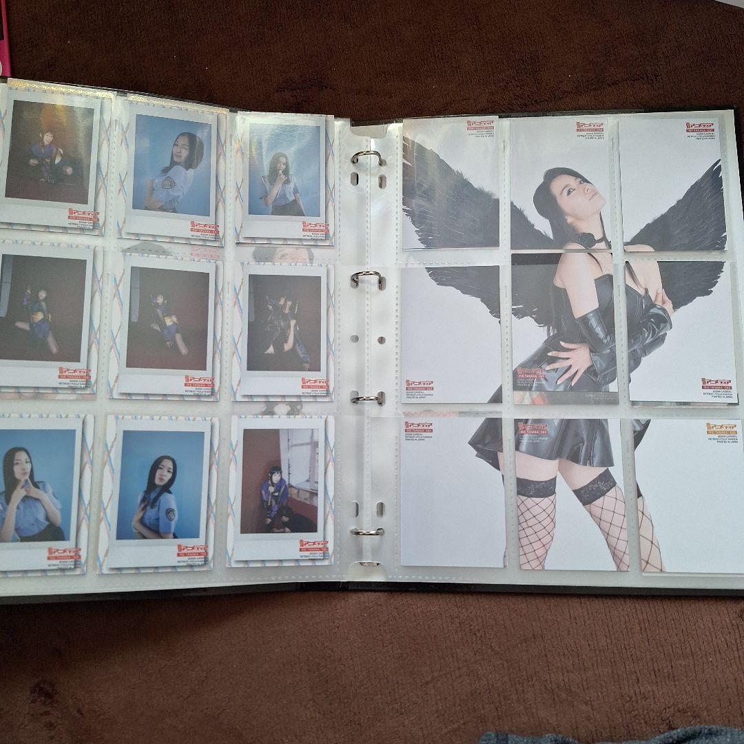 田中理恵　声優　カード+専用バインダー