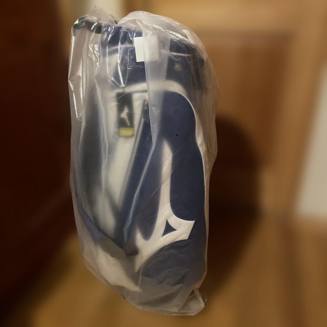 【希少カラー・スタンド式】Mizuno ゴルフ　キャディバッグ