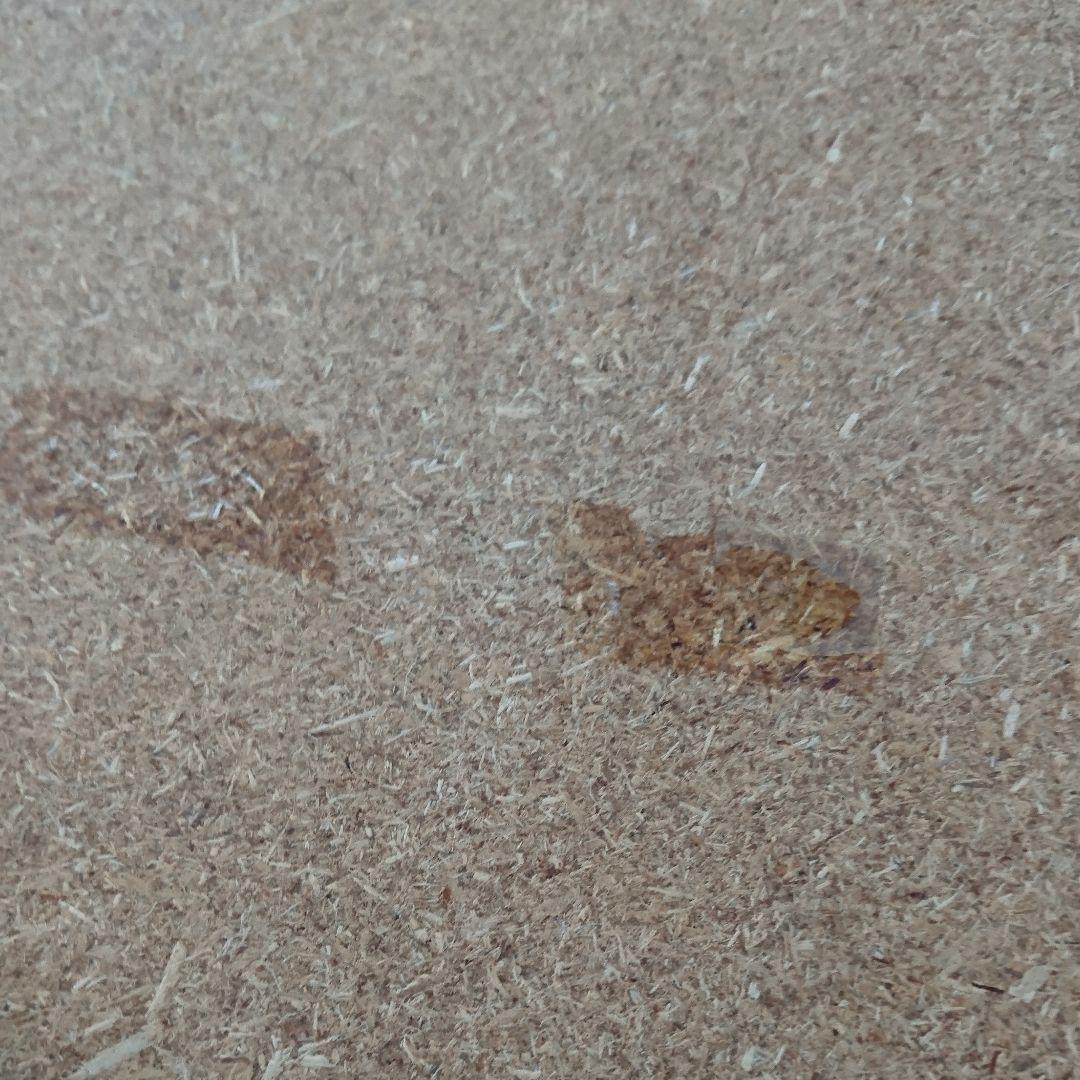 レア物！オードリーヘップバーンのパズル！パネル！