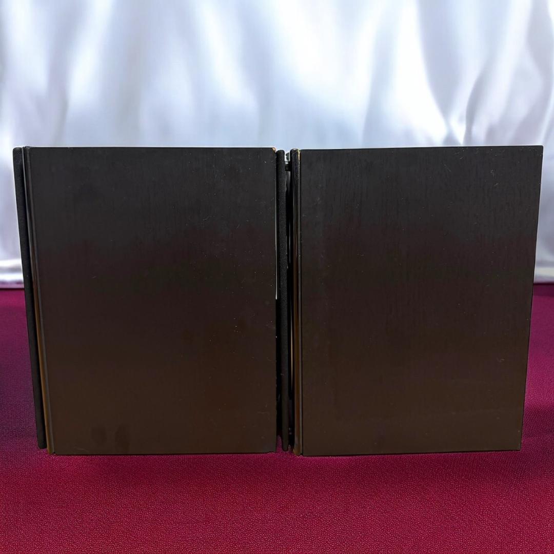 ☆良品 DALI ZENSOR 1 ブラックアッシュ スピーカーシステム ペア