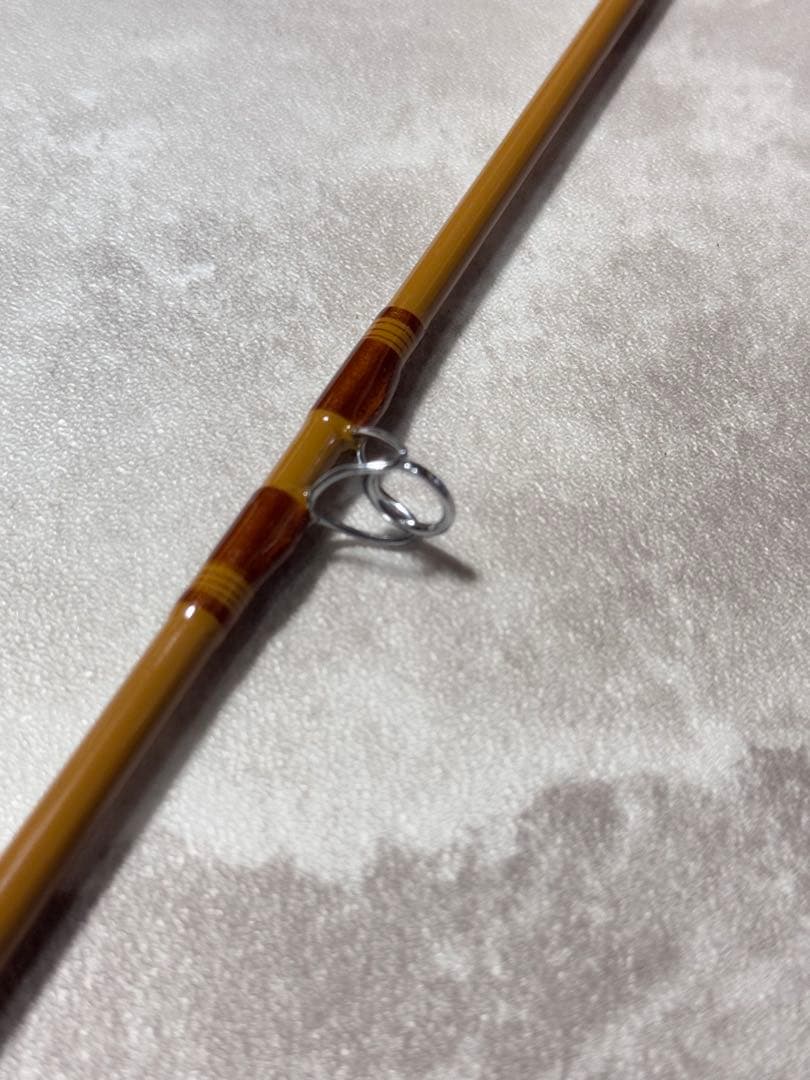 ６　則弘祐　スポーツザウルス　フィリプソン　バスティマー　BC60L