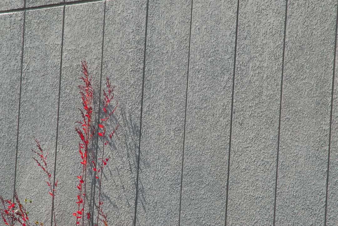 【作例あり】大迫力の超望遠♪TAMRON AF 200-400mm　Nikon用