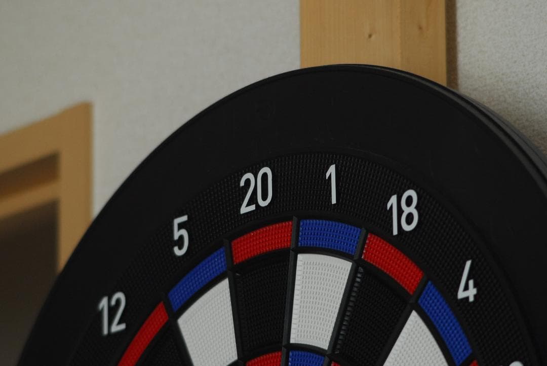 【作例あり】大迫力の超望遠♪TAMRON AF 200-400mm　Nikon用