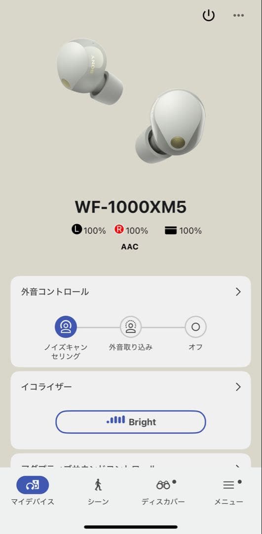 【美品】SONY WF-1000XM5 ワイヤレスイヤホン 【付属品完備】