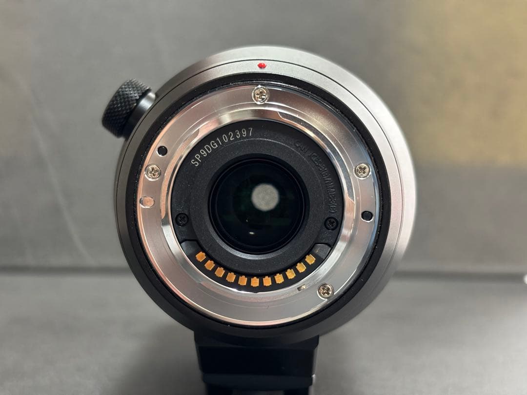 パナソニック LEICA DG VARIO-ELMAR 100-400mm