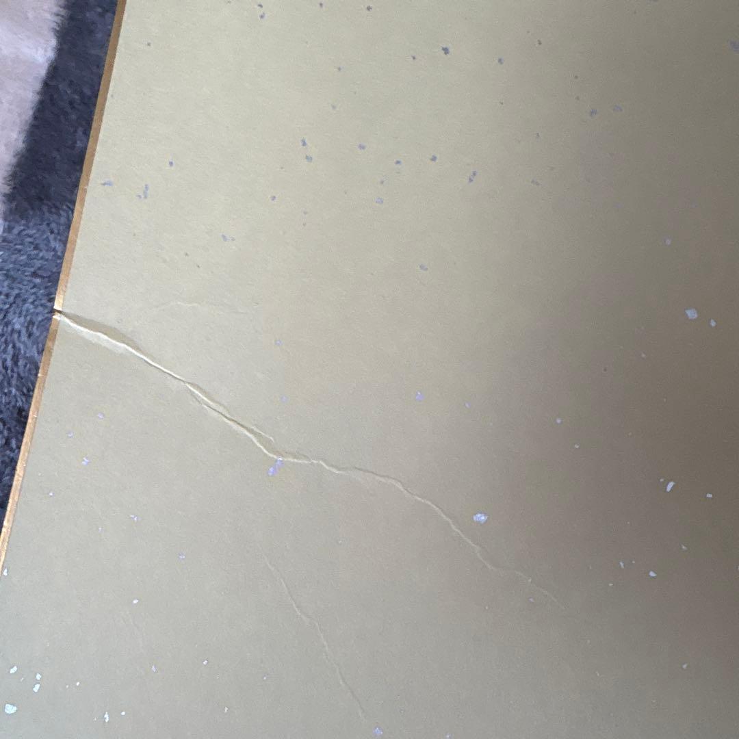 ファイターズ 日ハム 山﨑福也 齋藤友貴哉 サイン色紙 (難あり)