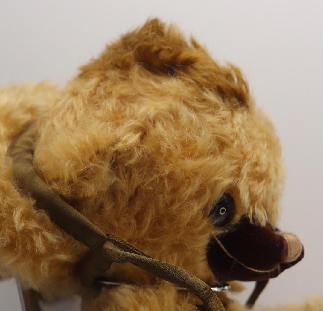 ムース・パンキンヘッド 約30cm カナダ限定 MERRYTHOUGHT