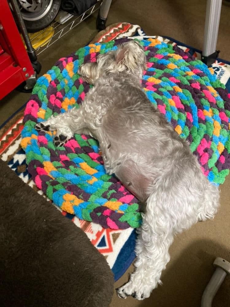 カフェマット  お昼寝マット ペットマット　オーダー承ります