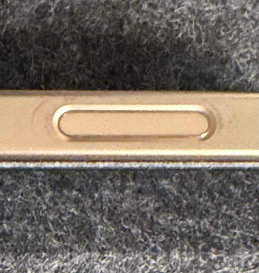 ［US版•盗難紛失プラン付］iPhone 16 Pro Max 1TB +α