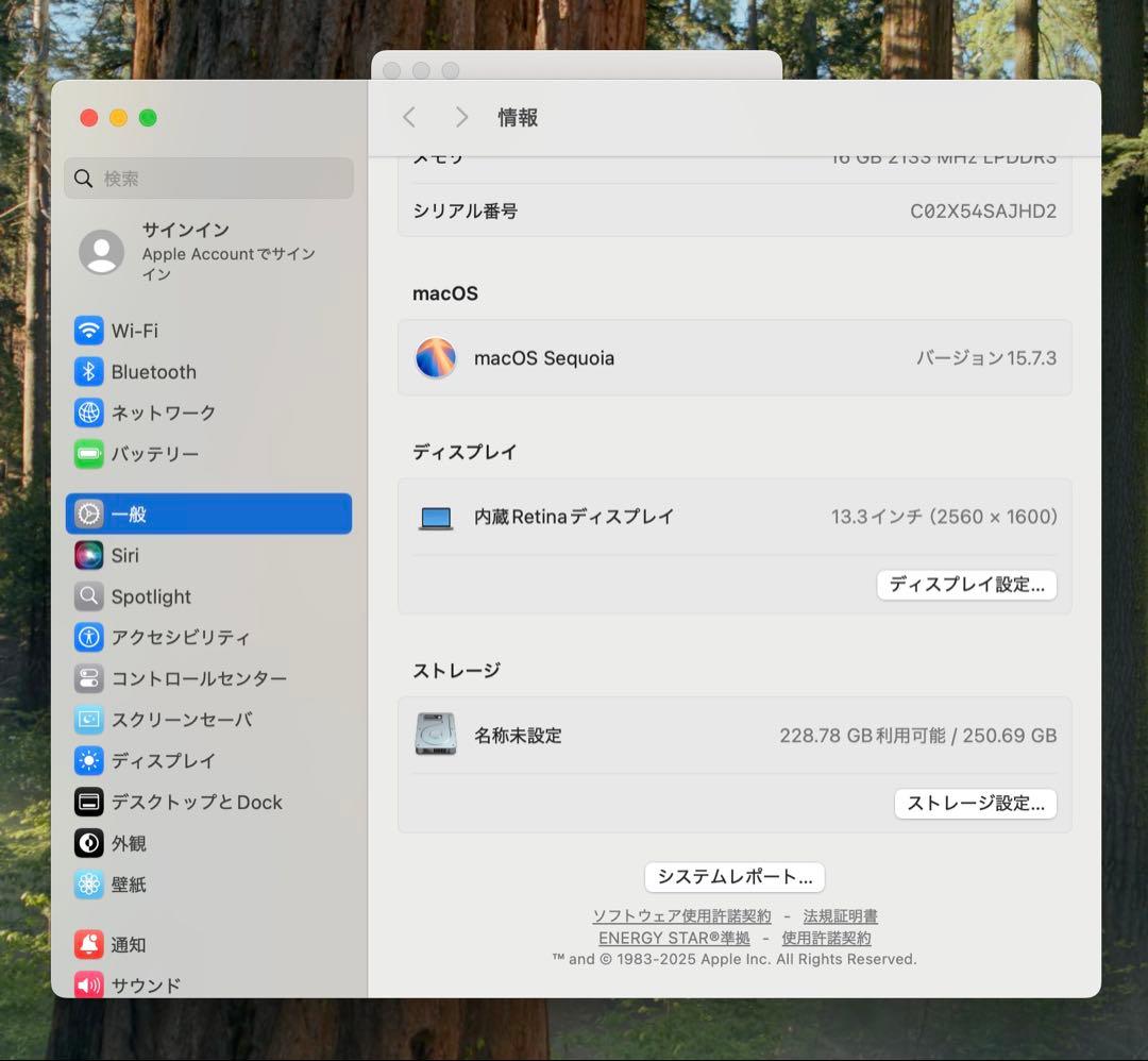 MacBook本体 Apple MacBook Pro 13 2018 i5/16GB/250Gb