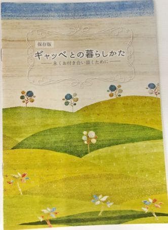 値下げ交渉ミニギャベ●33×36㎝●手織●本物●新品未使用 遊牧民が紡ぐギャッベ