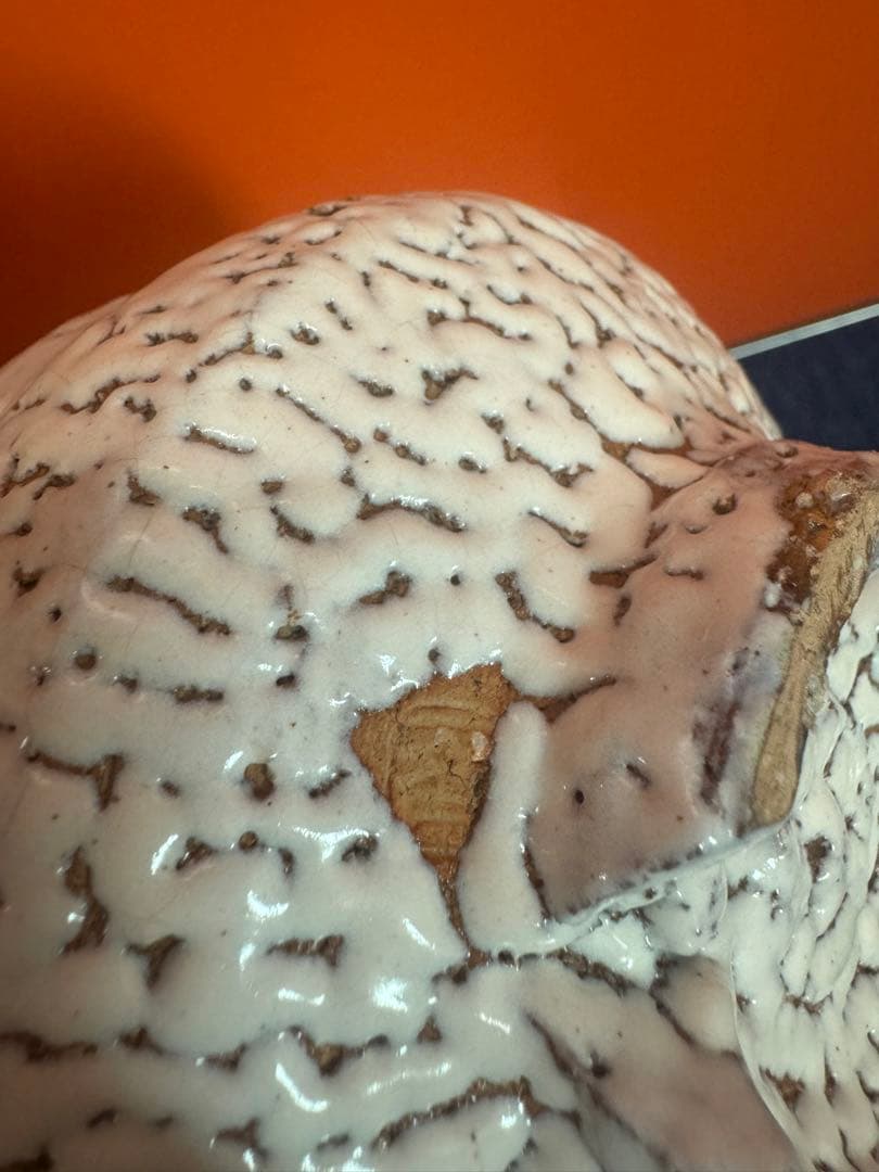 1750  萩焼　萩殿窯　茶碗