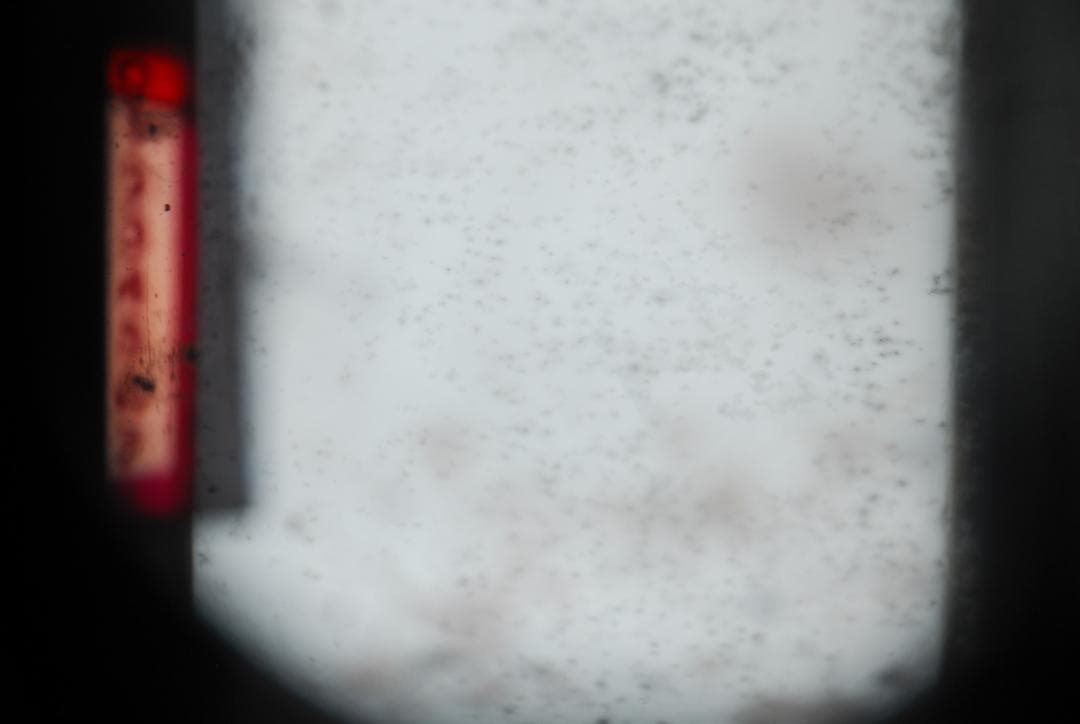 【動作品】Olympus Pen FT 38mm F1.8 オリンパス フィルム