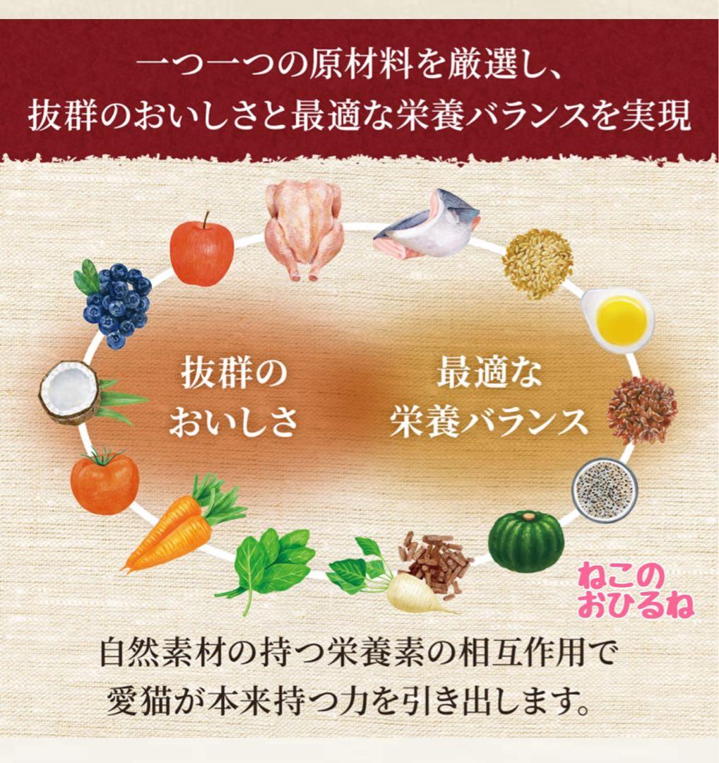 ニュートロシュプレモ　子猫用　（チキン&サーモン）　3kgパック×4袋