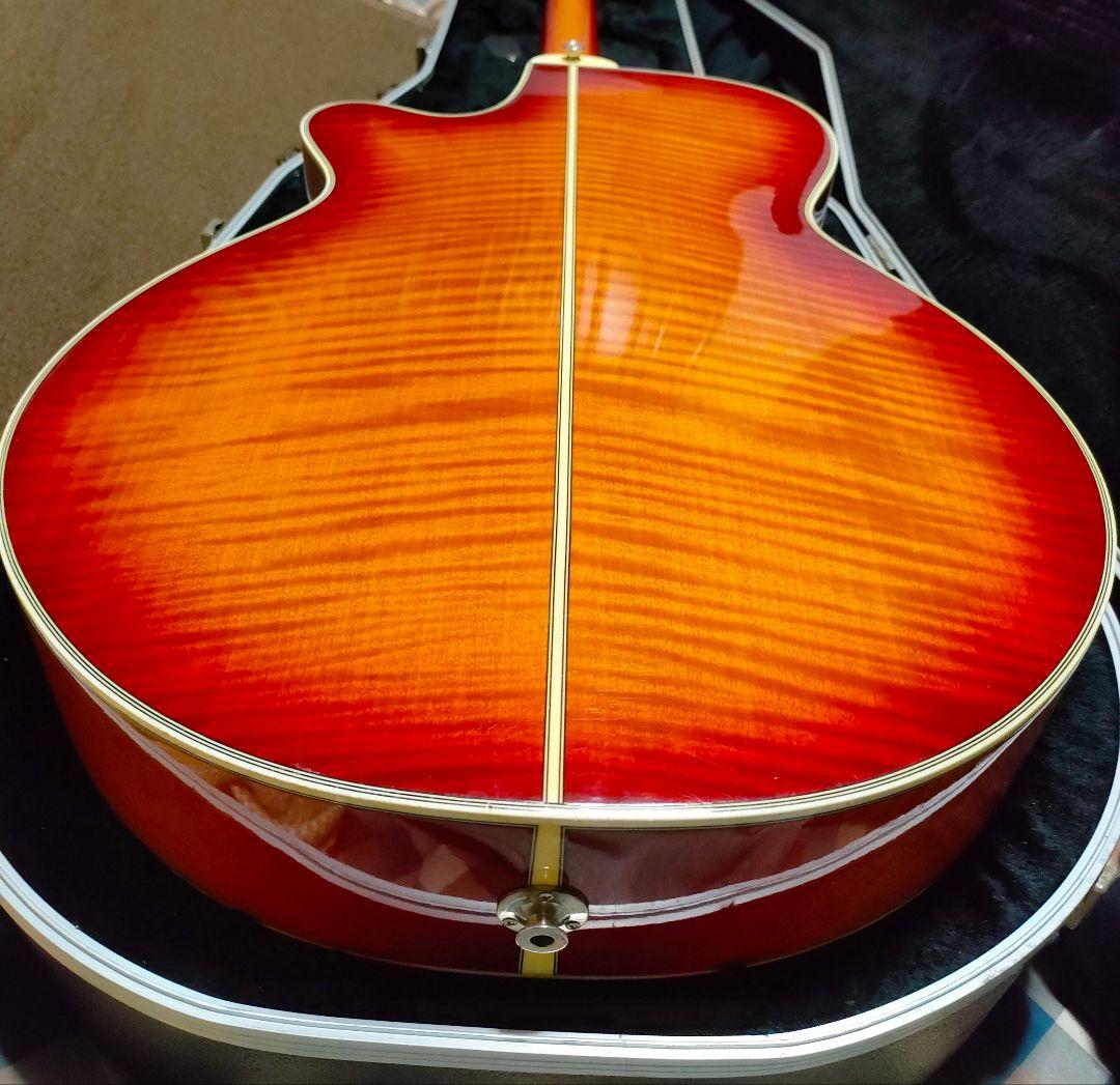 Takamine NPT-115 エレアコ 美品 タカミネ ハードケース付