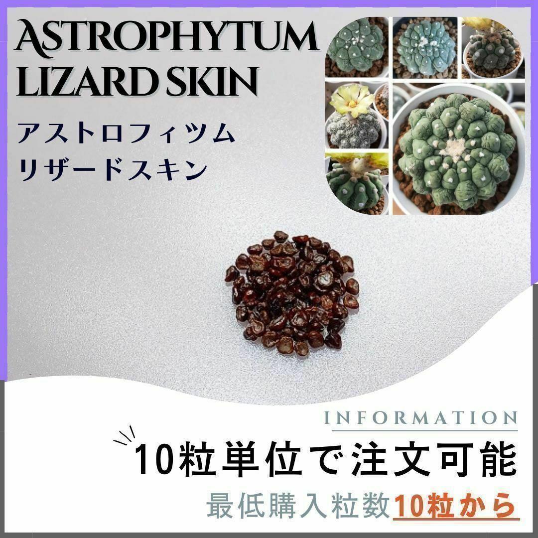 【すいっとぽてっと】