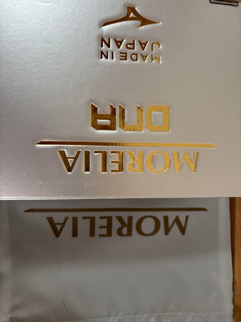 ミズノ　モレリア　DNA