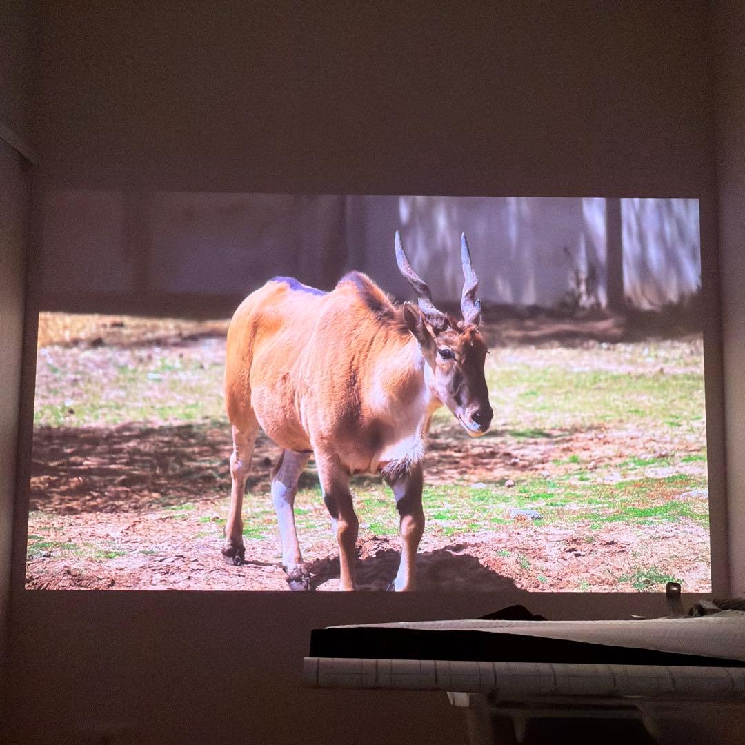 美品　JMGO N1 Ultra 4K スタンド付き