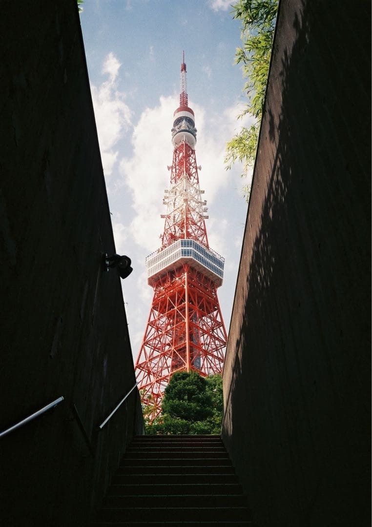 Nikon af600 ニコン af600