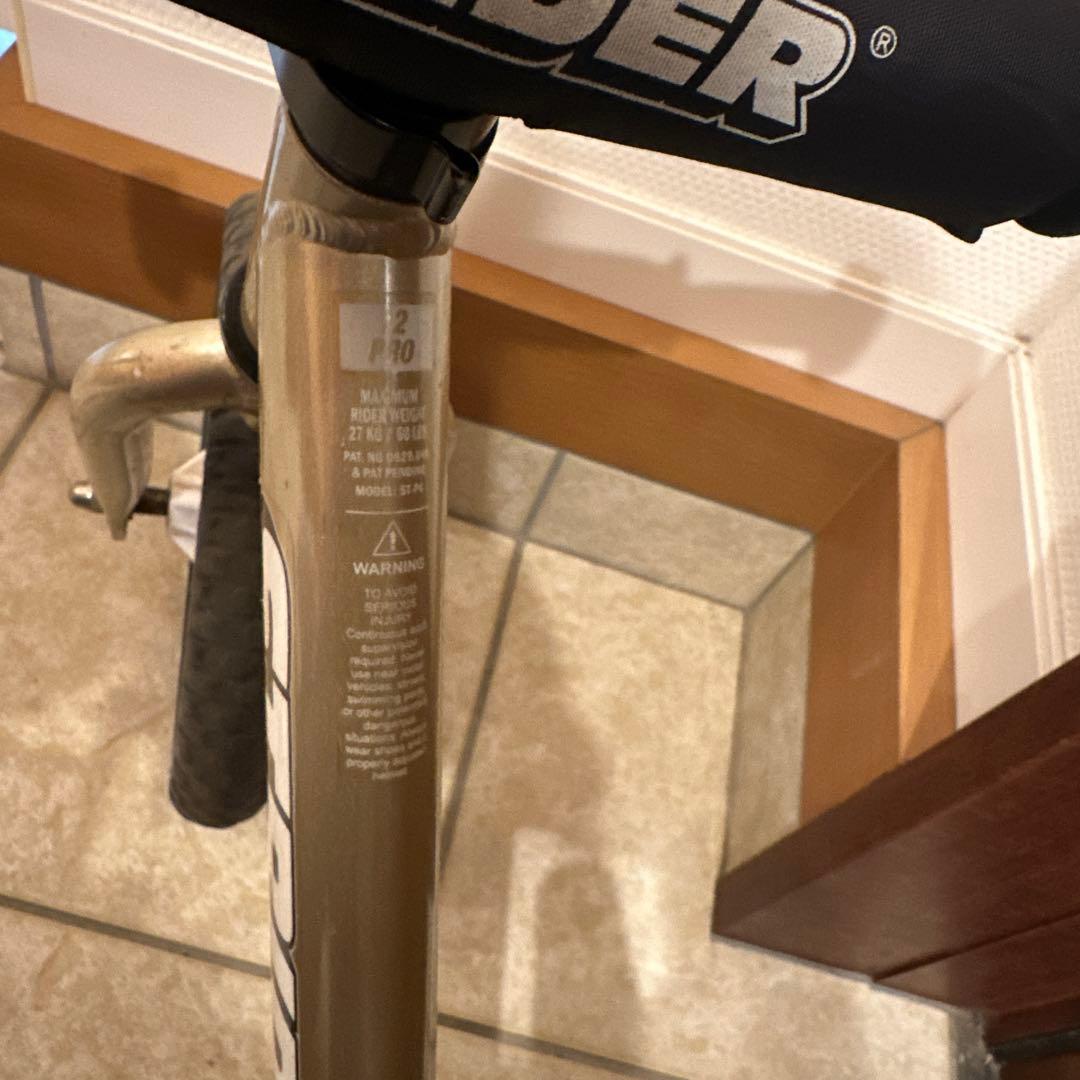 STRIDER PRO 12インチ シャンパンゴールド